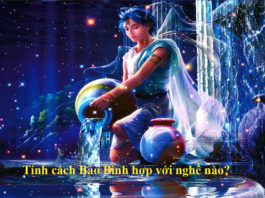 Công việc phù hợp nhất với Bảo Bình là gì