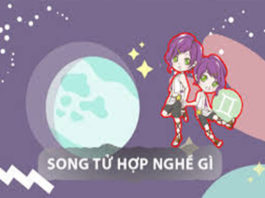 Cung Song Tử đừng bỏ qua những công việc tuyệt vời này