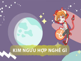 Người thuộc cung Kim ngưu làm công việc gì tốt nhất