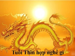 Tinh cách người tuổi Thìn, phù hợp công việc gì?
