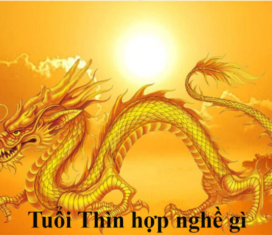 Tinh cách người tuổi Thìn, phù hợp công việc gì?