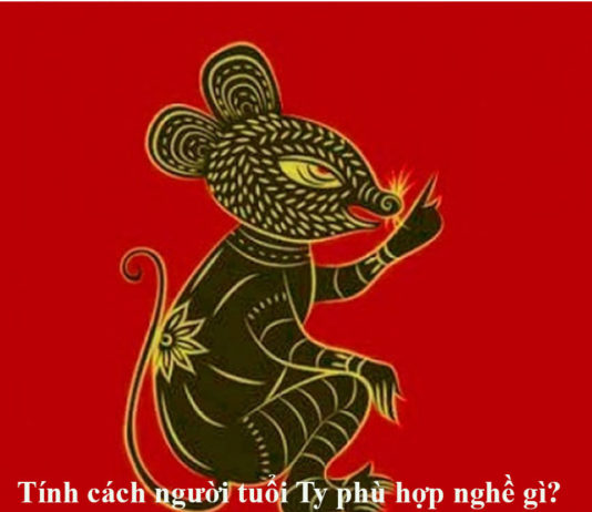 Tinh cách người tuổi Tý có đặc trưng gì? Phù hợp công việc gì?