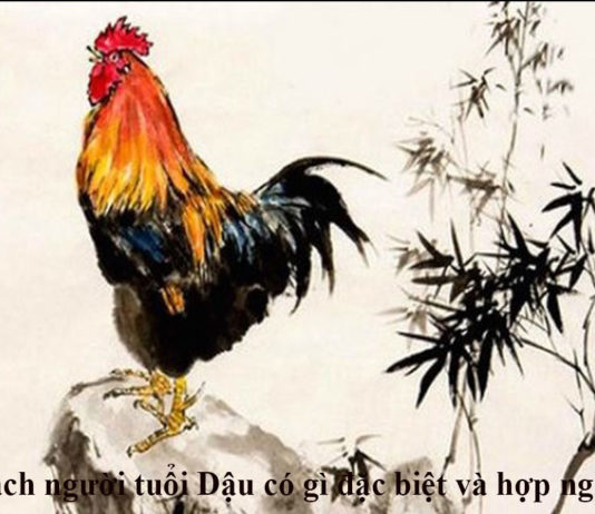 Tính cách người tuổi Dậu có gì đặc biệt và hợp nghề gì