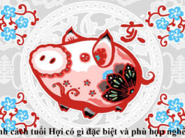Tính cách người tuổi Hợi có gì đặc biệt và phù hợp công việc gì?