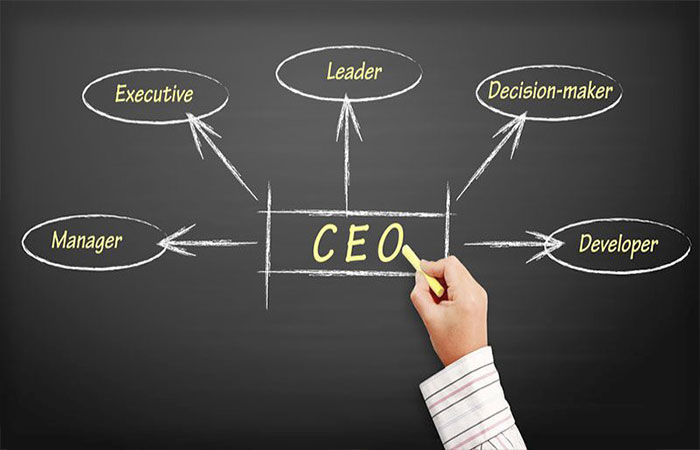 Công việc của một CEO là gì?