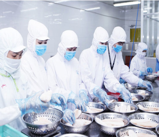 Nghề nuôi trồng thủy sản tại Việt Nam đã và sẽ phát triển vươn tầm thế giới