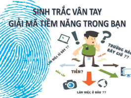 Sinh trắc học vân tay trong định hướng nghề nghiệp