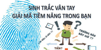 Sinh trắc học vân tay trong định hướng nghề nghiệp