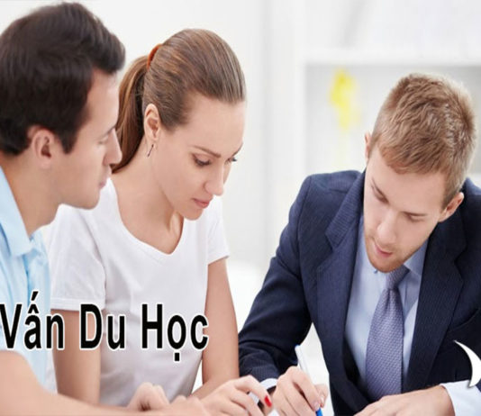 Nghề tư vấn du học